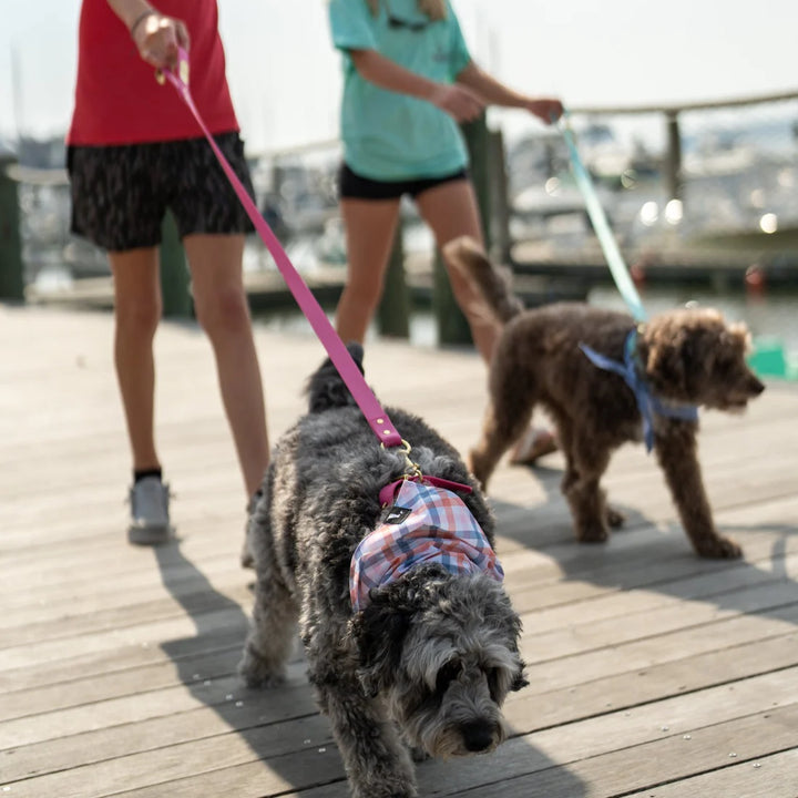 Local Boy Biothane Dog Leash